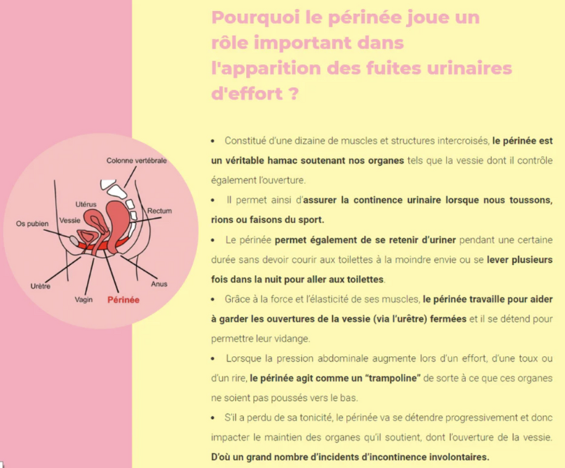 reeducation_perinee_exercice