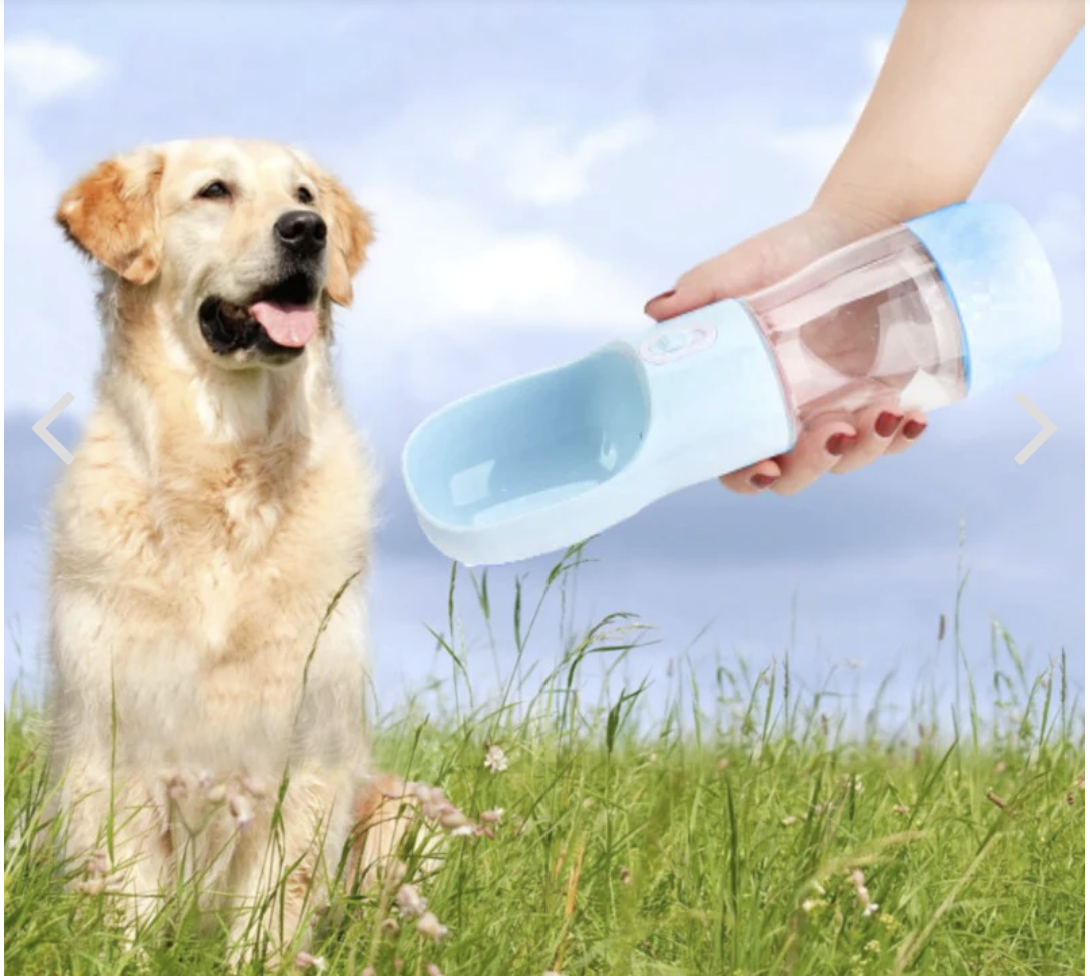 Gourde pour chien 2 en 1 | PetOut™