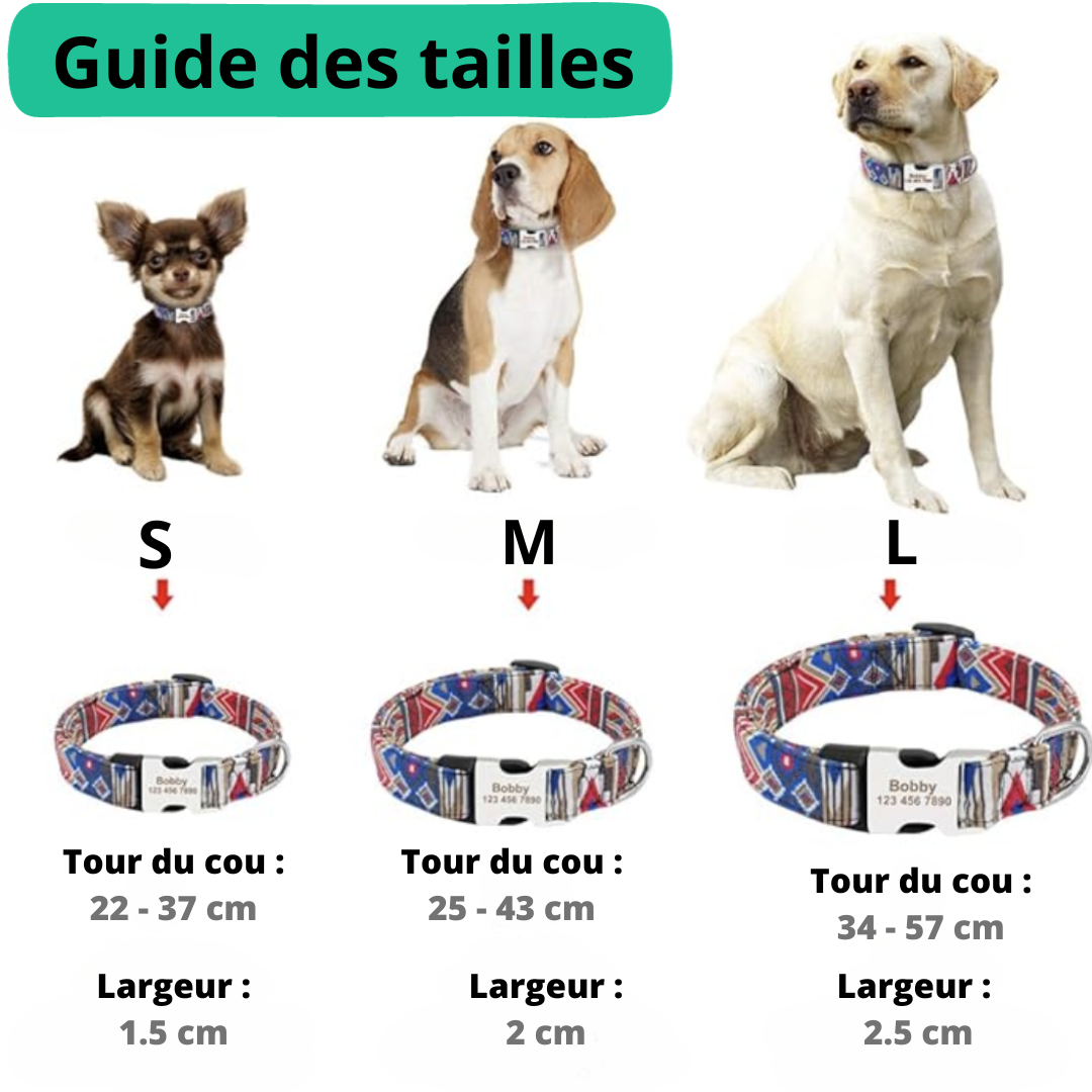 Collier personnalisé chien | PupTag™